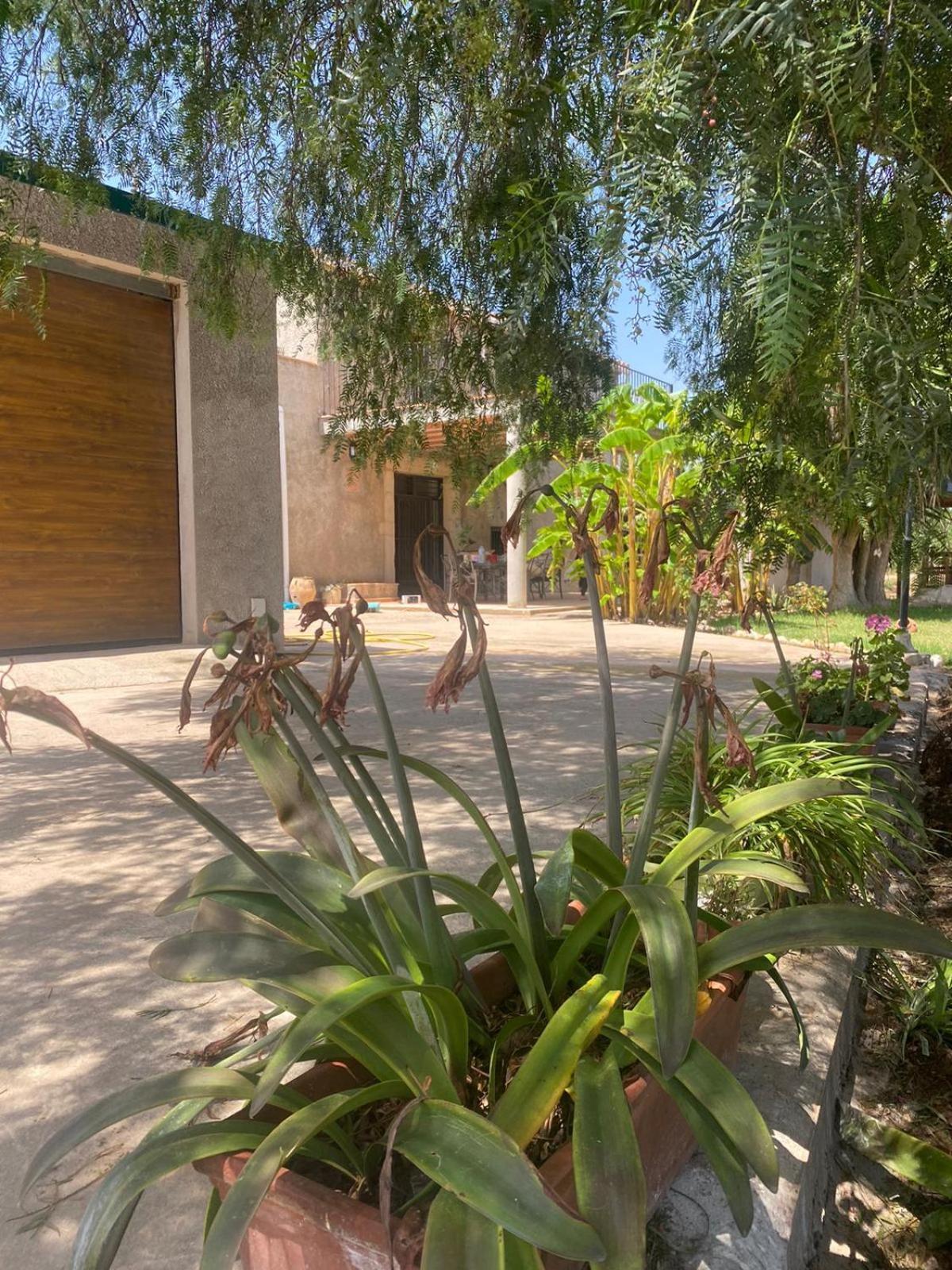 Los Almendros Torrenostra Exterior foto